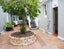 1/209 Ponsonby Road, Freemans Bay, Auckland - Carousel 14
