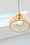 11 Malbec Place, Huapai, Kumeu - Carousel 25