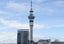 2308/8 Airedale Street, Auckland Central, Auckland - Carousel 15