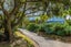 14 Giles Road, Ostend, Waiheke Island - Carousel 5
