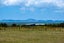 6 Bobs Way, Kaingaroa - Carousel 3