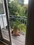 1/17 Reihana Street, Orakei, Auckland - Carousel 15