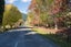 7 Appletree Way, Stoke, Nelson - Carousel 21