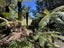 8 Rowley Avenue, Hoon Hay, Christchurch - Carousel 18