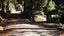 2197 Kaiuma Bay Road, Kaiuma Bay - Carousel 16