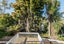 2/28 Gordon Avenue, Milford, Auckland - Carousel 7