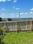 339 Hillsborough Road, Hillsborough, Auckland - Carousel 15