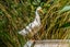 448 Tancreds Road, Christchurch - Carousel 34