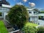 56 Glenpark Avenue, Mornington, Dunedin - Carousel 8