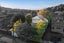 31 Ranfurly Road, Epsom, Auckland - Carousel 26