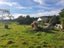 30 Old School Road, Awatuna, Hokitika - Carousel 43