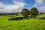 220 Falls Road, Warkworth, Warkworth - Carousel 20
