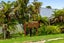 39 Twentysecond Avenue, Gate Pa, Tauranga - Carousel 20