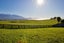 49 Shearwater Drive, Kaikōura - Carousel 4