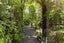 59 Pihanga Road, KURATAU, TURANGI - Carousel 26