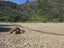 0 Waitata Bay, Waitata, French Pass - Carousel 13