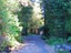 207 Tanglefern Row, Virgin Flat, Cape Foulwind - Carousel 8