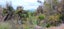 0 Darkies Terrace Road, Charleston, Cape Foulwind - Carousel 7