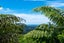 154 Opanuku Road, Henderson Valley, Auckland - Carousel 2