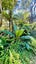 877 Tiki Quarry Road, Preece Point, Coromandel - Carousel 48