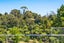 196 Verbena Road, Birkdale, Auckland - Carousel 16