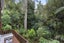 34 Sylvan Valley Avenue, Titirangi, Auckland - Carousel 14