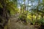 0 Fence Bay, Onahau Bay, Marlborough Sounds - Carousel 12