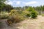12 Quail Way, Waitarere, Levin - Carousel 24
