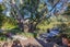 2/15 Omana Road, Milford, Auckland - Carousel 3