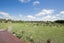 89 Shelly Beach Road, Shelly Beach, Helensville - Carousel 2