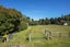 373 Lehmans Road, Fernside, Rangiora - Carousel 8