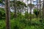 22 Waikarekare Lane, Karekare, Auckland - Carousel 6
