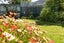 31B Litchfield Street, Redwoodtown, Blenheim - Carousel 20