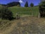 580 Maratoto Road, Hikutaia, Paeroa - Carousel 3