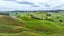 880 Kopuku Road, Maramarua Forest, Te Kauwhata - Carousel 8