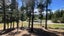 0 Letts Gully Road, LETTS GULLY, Alexandra - Carousel 5
