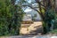 55 Hamilton Road, Waiheke Island, Auckland - Carousel 33