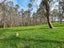 54 Hall Road, Matakohe - Carousel 13