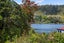 33 Okareka Loop Road, Lake Okareka, Rotorua - Carousel 20