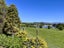 964 Waianakarua Road, Herbert - Carousel 10
