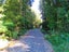 207 Tanglefern Row, Virgin Flat, Cape Foulwind - Carousel 4