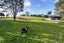 22 Houkura Place, Taupaki, Henderson - Carousel 6