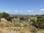 16 Bay Heights Drive, Karikari Peninsula, Karikari Peninsula - Carousel 6
