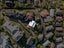 711D Remuera Road, Remuera, Auckland - Carousel 24