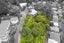 32E Mission Street, Waterloo, Lower Hutt - Carousel 30