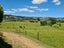 208 McQuoid Road, Preece Point, Coromandel - Carousel 15