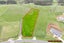 51A Mcintosh Drive, Pokeno - Carousel 7