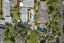 3/11 Umere Crescent, Ellerslie, Auckland - Carousel 3