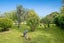 118 Trig Road, Helensville - Carousel 19