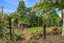 28 Rimu Road, Oratia, Auckland - Carousel 24